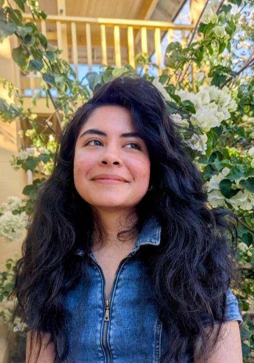 Rosemary Yool-Vidal